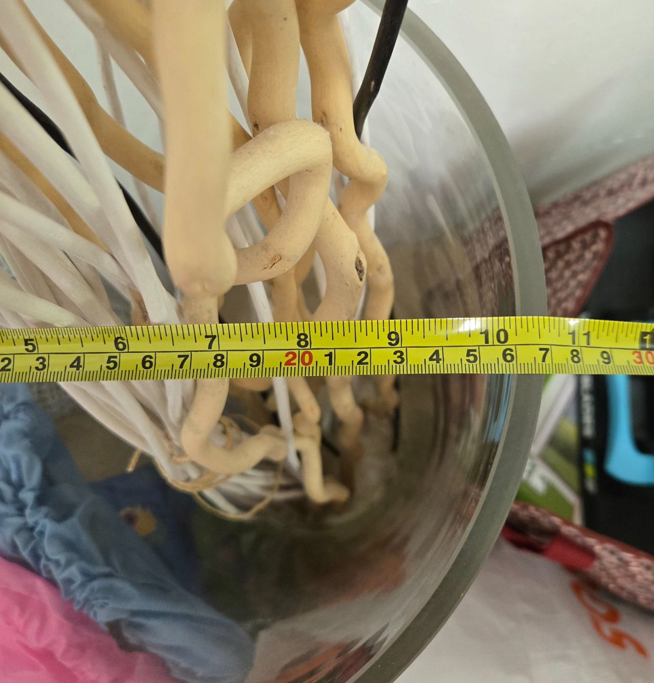 Vasi & Recipienti: Grosse Glasvase mit Ästen, Deko – Usato da Winkel venduto da Yenniferina 3