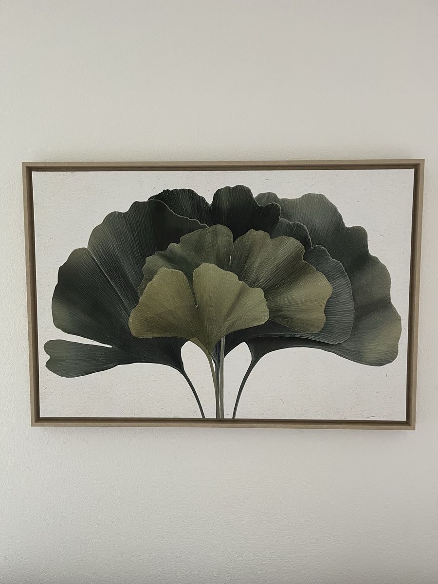 Foto & Immagini: Ginko Bild auf Leinwand – Nuovo (secondo la descrizione) da Wermatswil venduto da -secondchance-