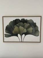 Ginko Bild auf Leinwand 