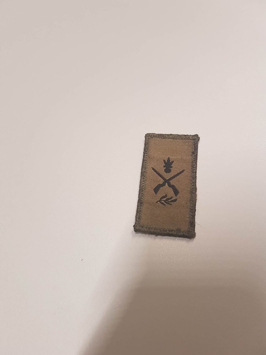Placchette & Badge: Insigne d'arme infantrie – Nuovo (secondo la descrizione) da Vallorbe venduto da fam_wy2j