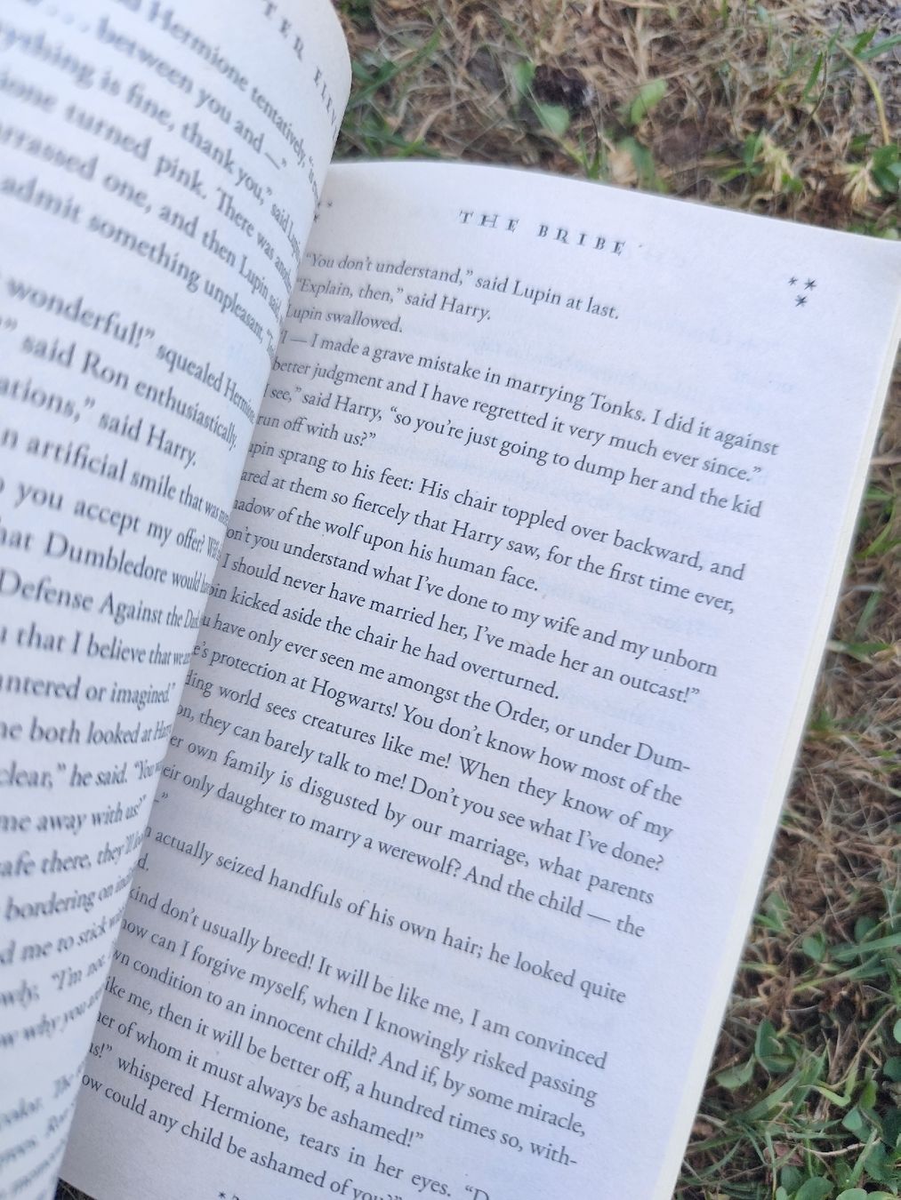 Libri: Harry Potter and the Deathly Hallows Book – Usato da Mägenwil venduto da VintageGirly 3