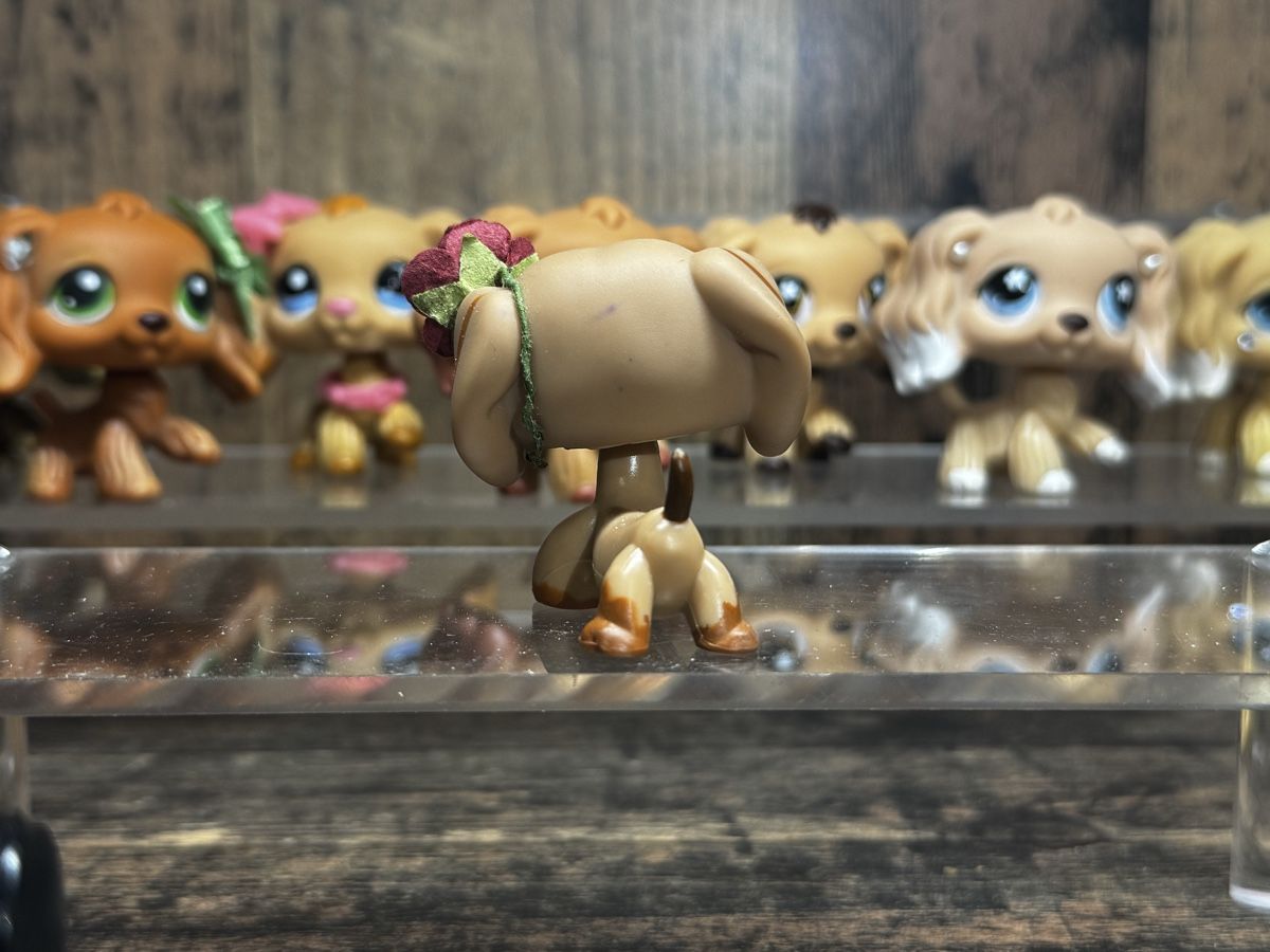 Hasbro Jouets: Littlest pet shop Dachshund – D'occasion à Luzern par Maja.C 1
