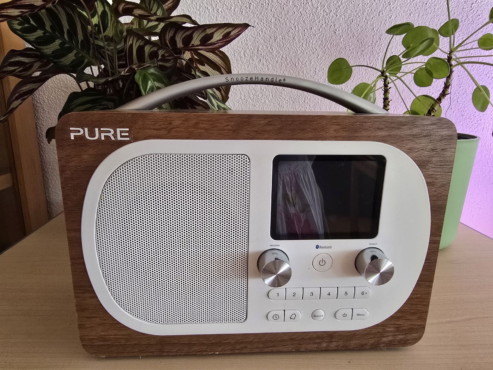 Radios: Pure Evoke H4 Holz – Gebraucht aus Uster von Gaensbluemchen