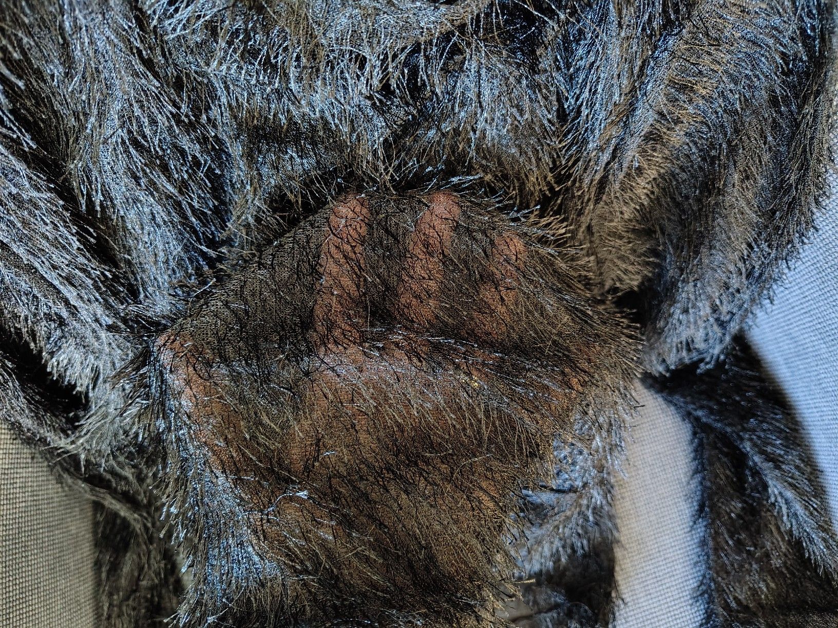 Zara Maglioni & Felpe: Schwarze 2x Zara Pullover, Grösse M, Neuwertig – Usato da Stäfa venduto da krp54 2