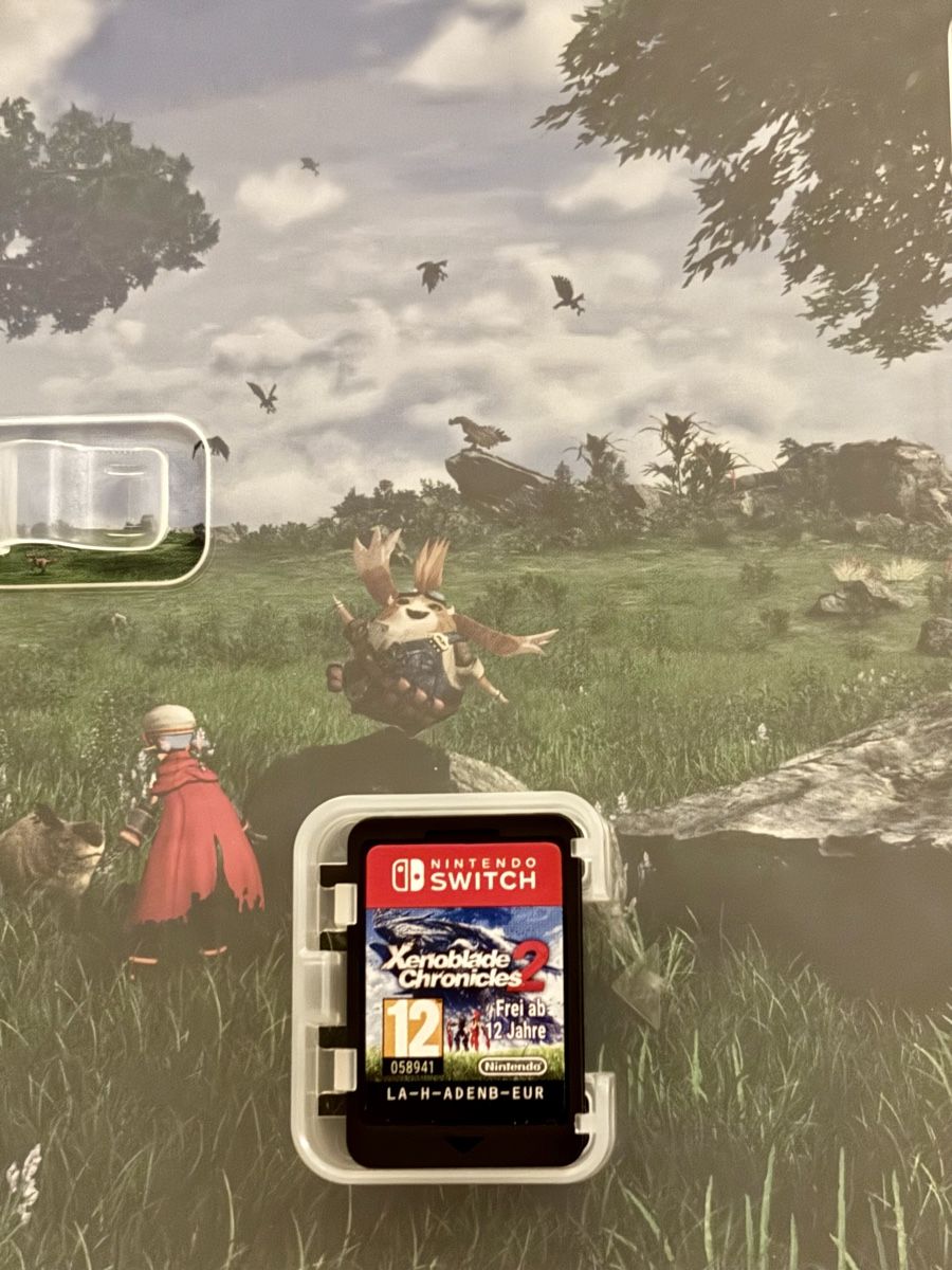 Nintendo Giochi: Nintendo Switch Xenoblade Chronicles 2 – Usato da Regensdorf venduto da k0nkret 1