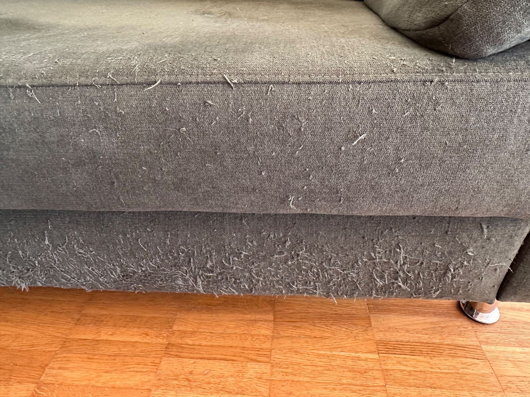 Pfister Sofas: Bettsofa flaschengrün – D'occasion à Zürich par puntina00 3