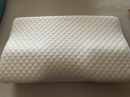 Derila Nackenkissen orthopädisch 50 x 30 neuwertig 
