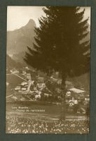 AK sw Les Avants VD Champ de narcisses ≈ 1920 
