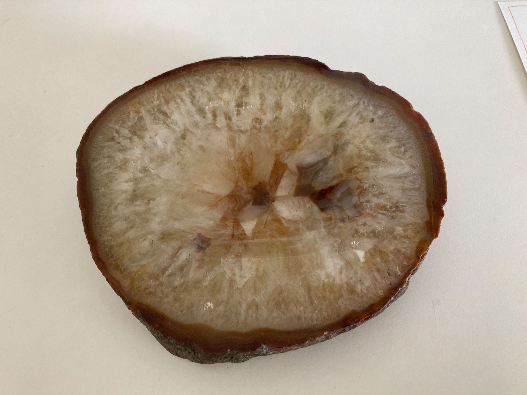 Portacenere: Achat schale klein/Aschenbecher Vintage – Usato da Fehraltorf venduto da mayalotto 2