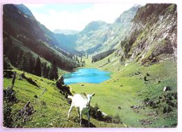 Talalpsee ob Filzbach (GL), Schijenstock