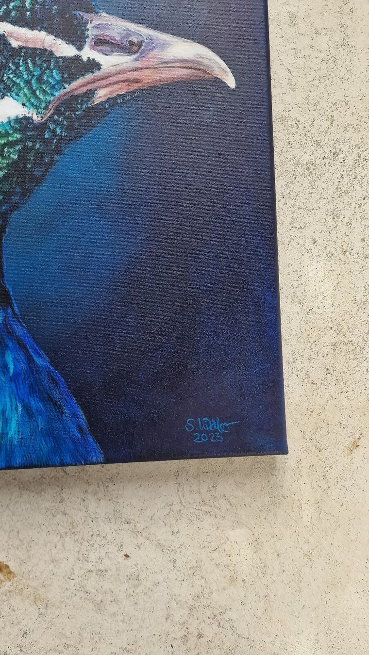 Dipinti: Originales Gemälde: Pfau - 50 x 50 cm – Nuovo e nell'imballaggio originale da Tägerwilen venduto da Simone_Widler_Art 4