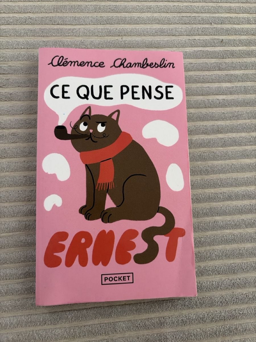 Libri: Livre "Ce que pense Ernest" Clémence Chambeslin  – Usato da Martigny venduto da O96