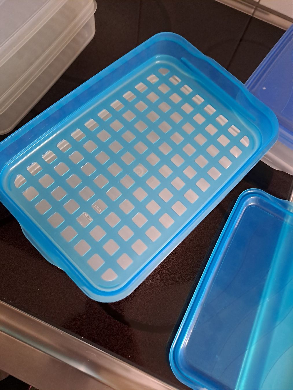 Contenitori & Simili: Set Lunchboxen blau individuel stabelbar – Usato da Rickenbach LU venduto da bishiida 2