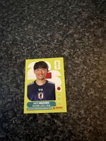 Panini WM 2026 JPN 17