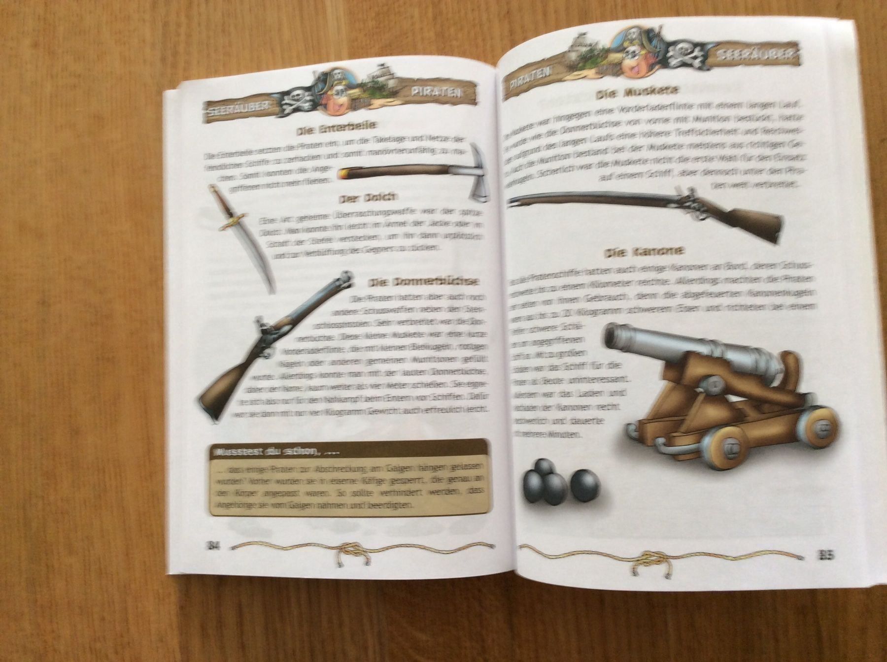 Bücher: Die Welt der Piraten Einfach schlau! – Gebraucht aus Wetzikon ZH von Laube02 5