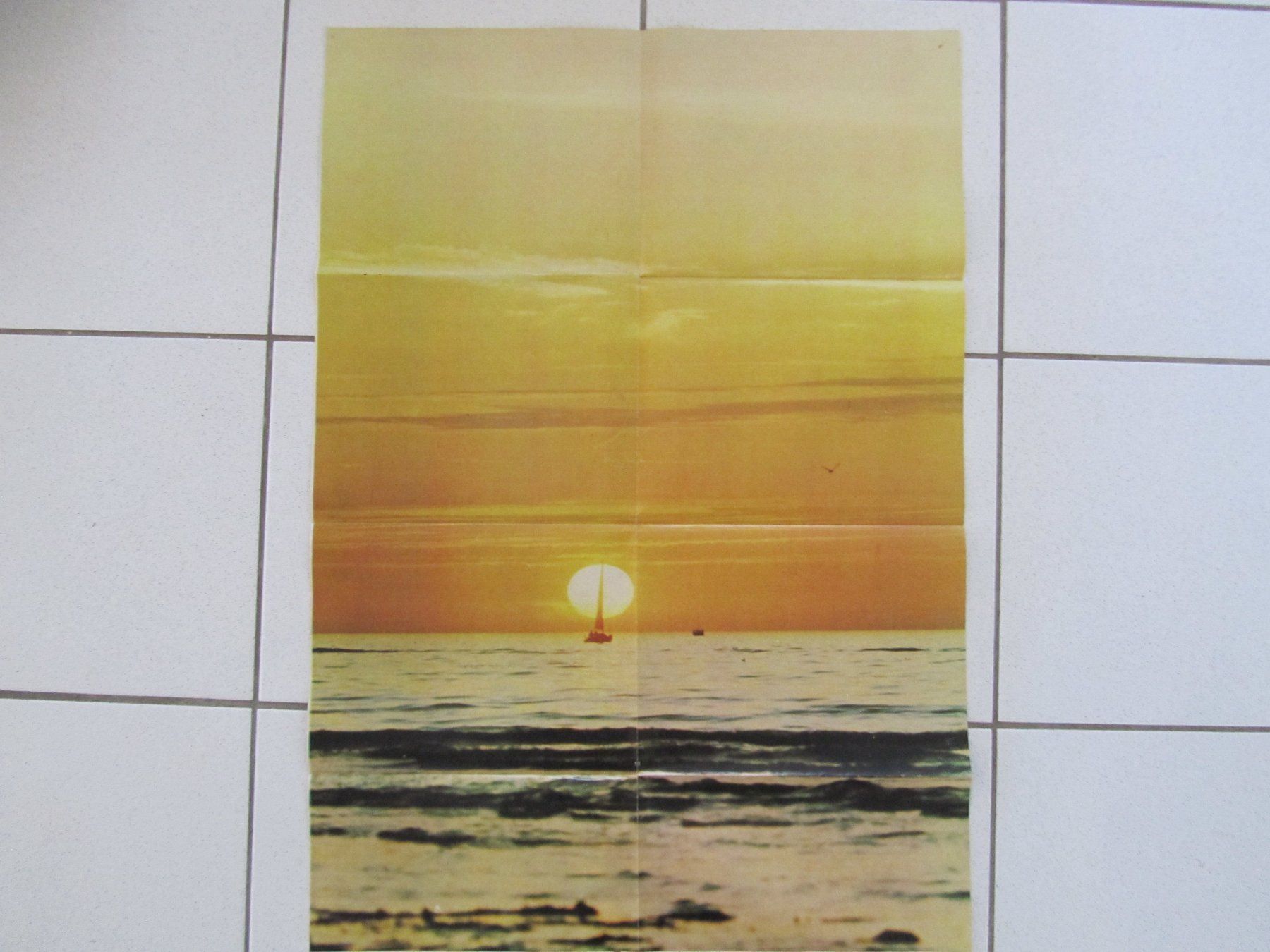 Poster & Bilder: Poster Popfoto Alice Cooper – Gebraucht aus Weiningen ZH von dietsch57 2