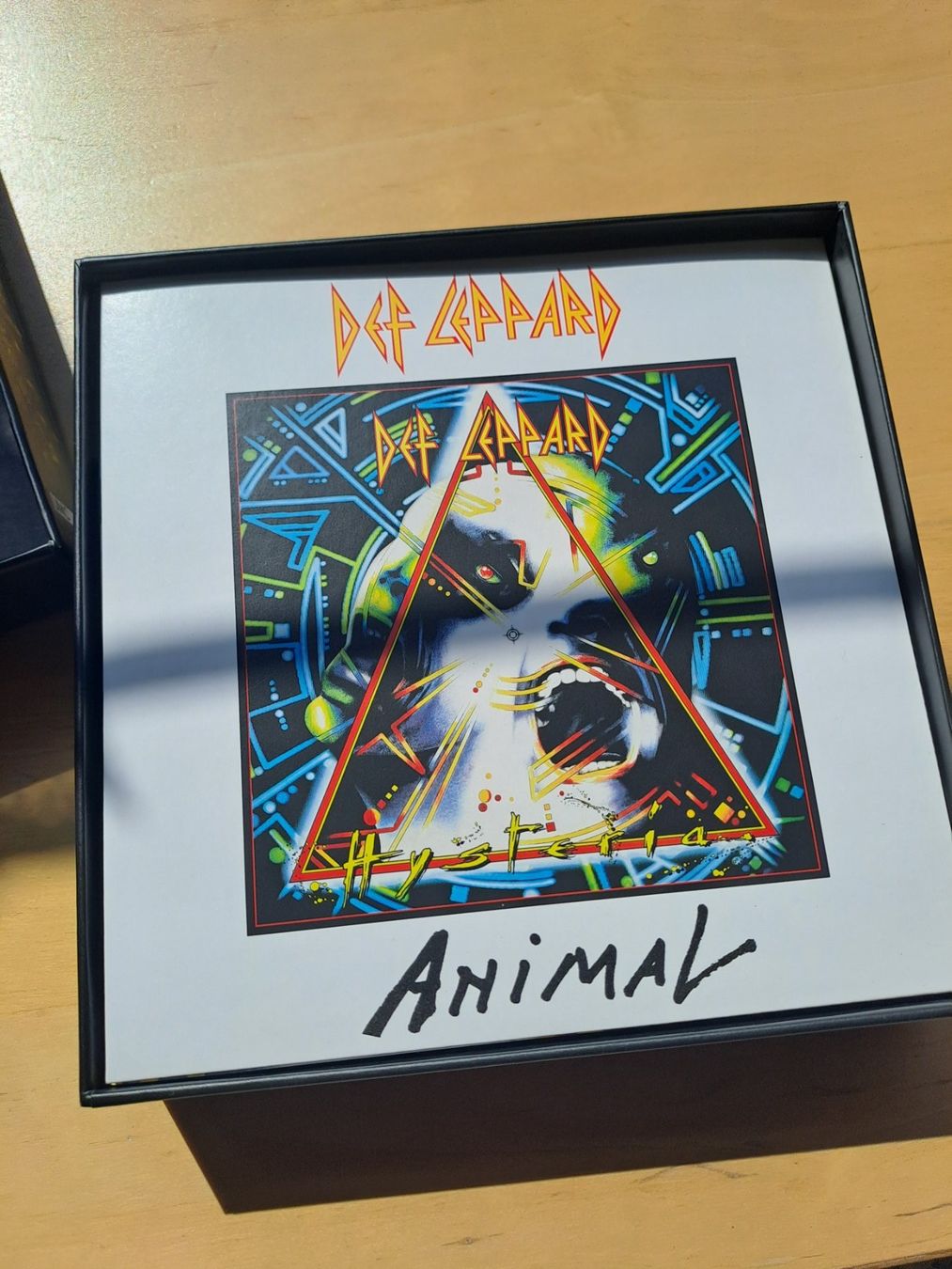 Dischi in vinile: Def Leppard 7" Vinyl Box Set 10 platten – Nuovo (secondo la descrizione) da Bitsch venduto da jajo79076 2