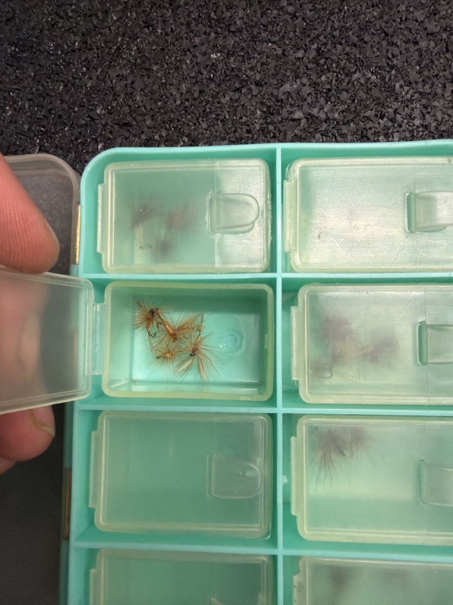 Köder: Fliegenköder in Kunststoffbox – Gebraucht aus Nesslau von deo_fqt7 1