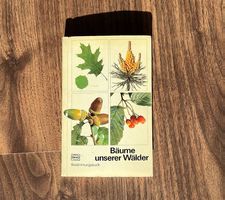 Bäume unserer Wälder - Silva Bestimmungsbuch
