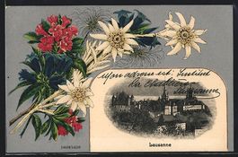 Passepartout-AK Lausanne, Ortsansicht mi