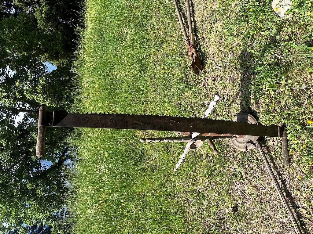 Seghe: Scie à bois – Usato da Leytron venduto da her_vm77