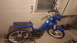 Malaguti Belmondo ZJM 245-84