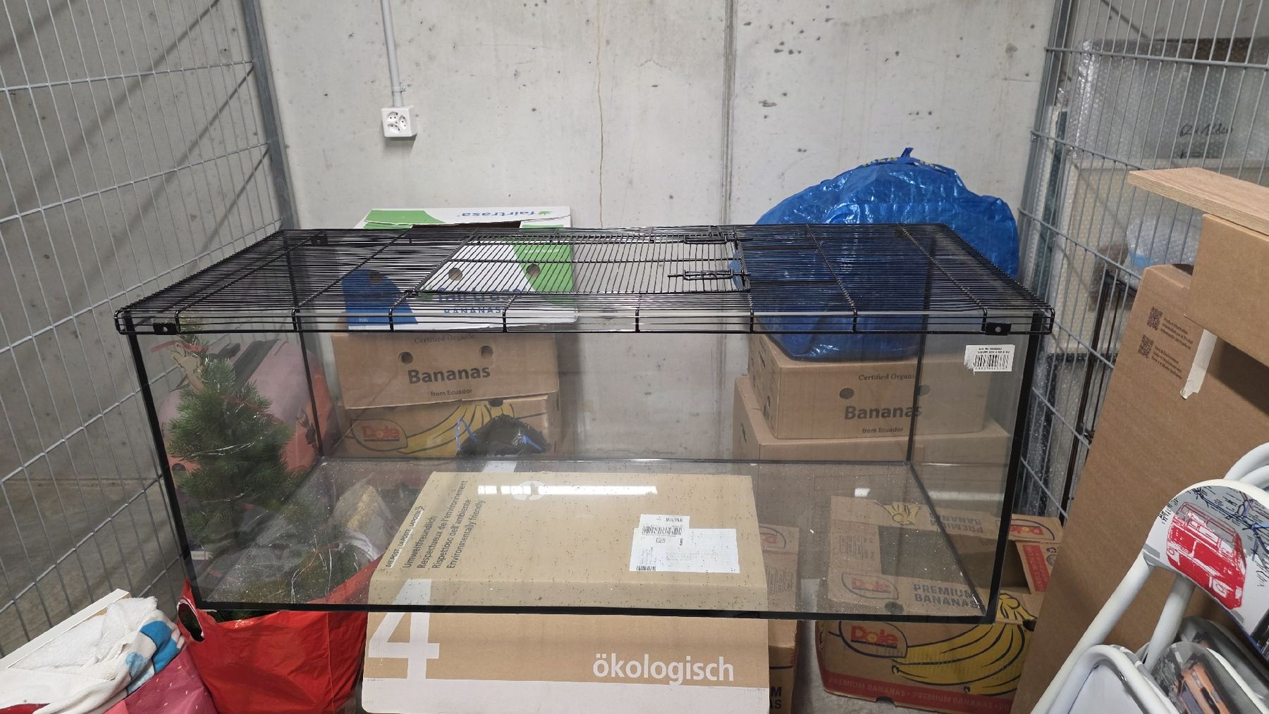Terrario: Hamstergehege / Terrarium – Usato da Burgdorf venduto da mar_wt98