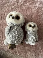 Ty Owlette Eule gross und klein - Top Zustand!🦉🦉 (50)