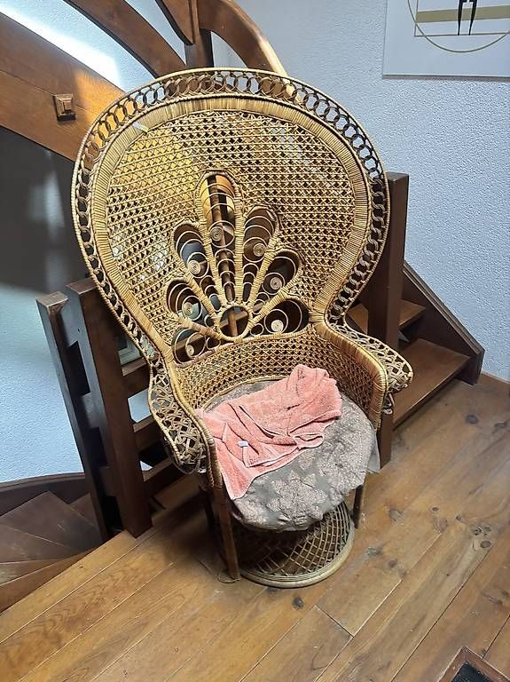 Poltrone: Fauteuil en rotin paon  – Usato da Montreux venduto da gil_dv9q