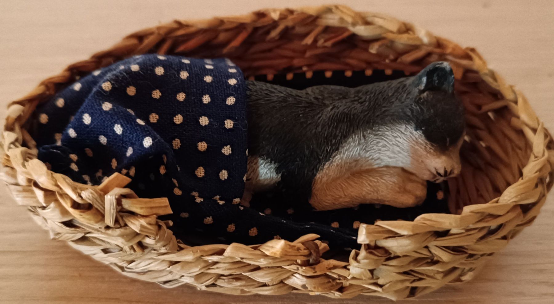 Statuette: Chaton endormi dans un panier – Nuovo (secondo la descrizione) da Cornaux NE venduto da Mimi983