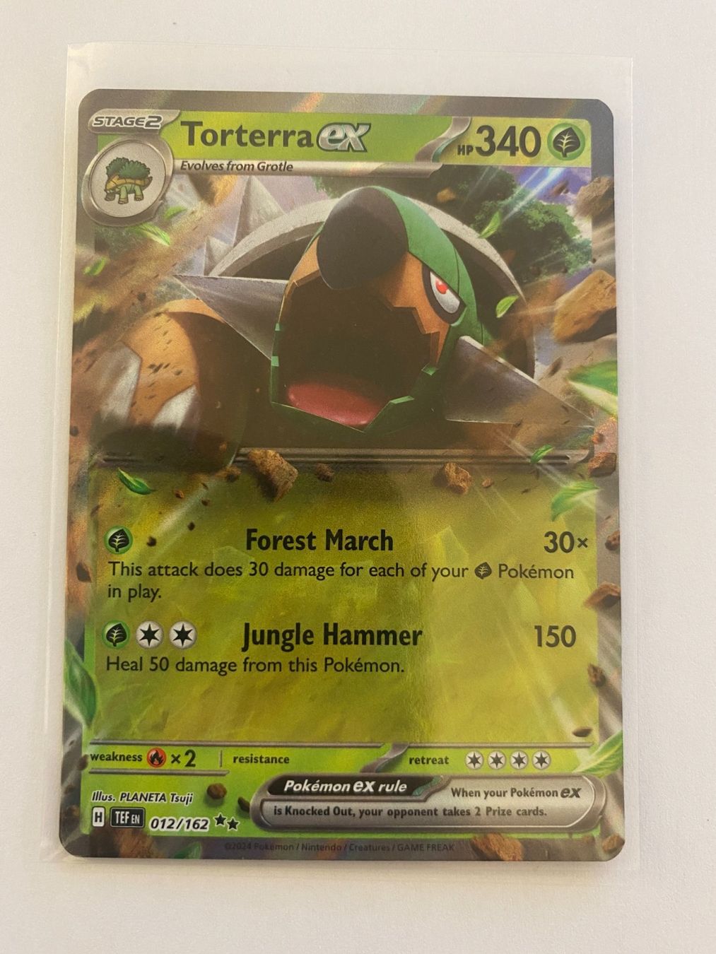 Pokémon Carte collezionabili: Pokemon Torterra EX 012/162 Temporal Forces EN – Nuovo (secondo la descrizione) da Weingarten-Kalthäusern venduto da McGmavlo