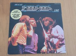 DLP Bee Gees
