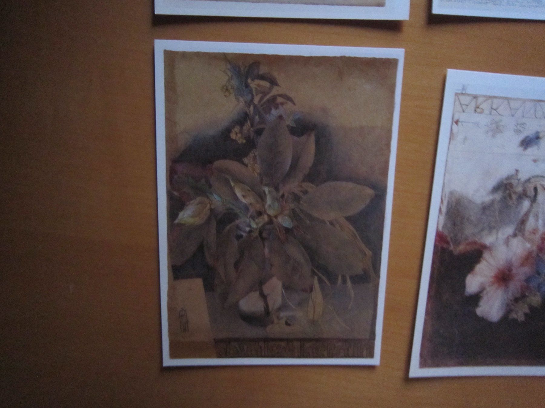Cartes postales: Schöne Postkarten HORST JANSSEN BLUMEN – D'occasion à Gordola par Polentaefung 3