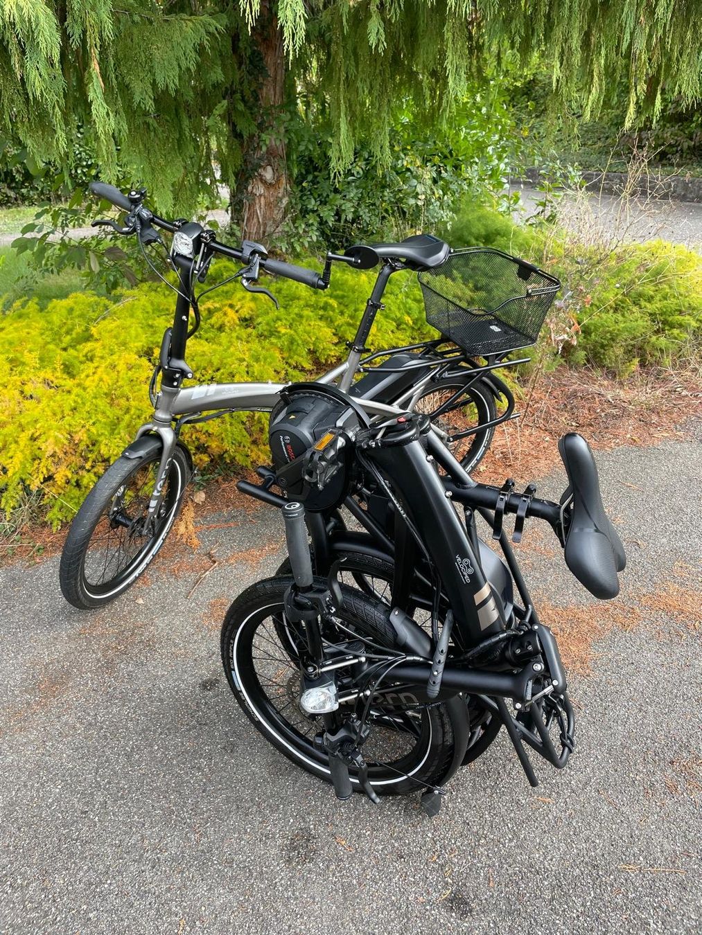 Tern Velos: 1x Elektrovelo Tern, zusammenklappbar – Gebraucht aus Breitenbach von sekigahara