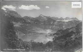 Partie am Wallensee