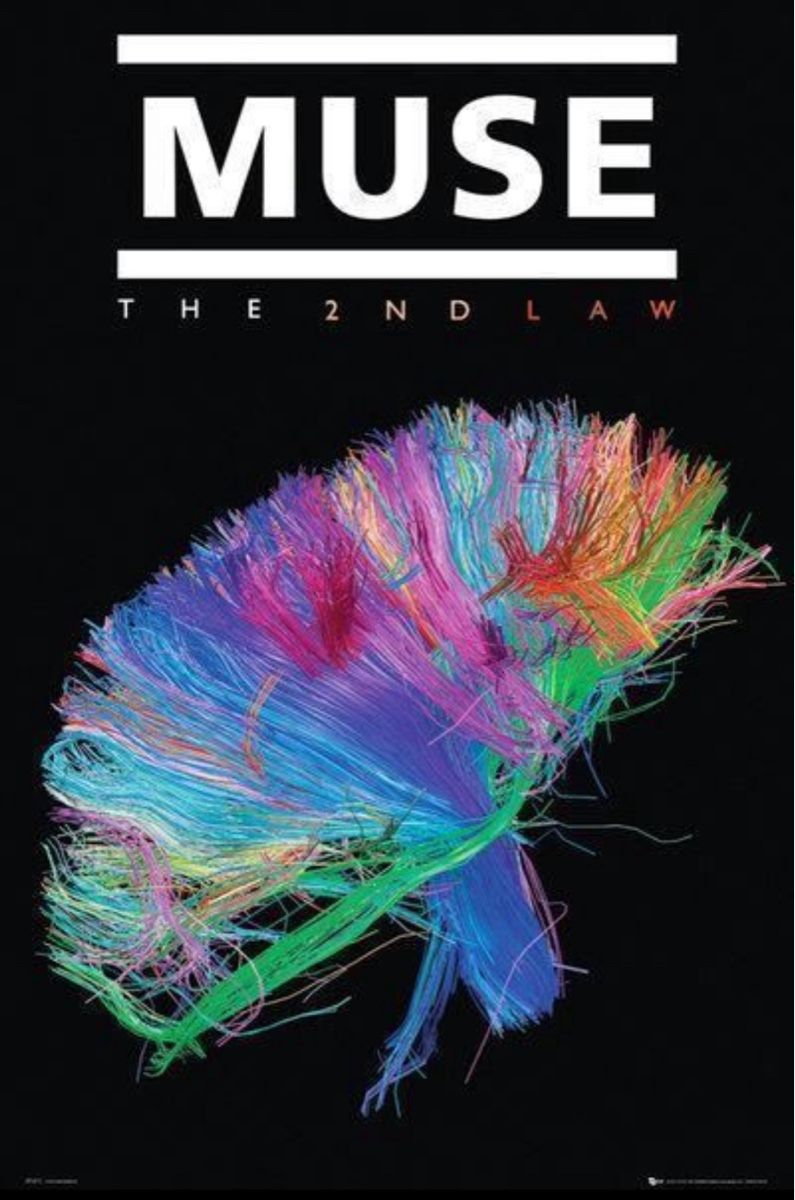 Foto & Immagini: Poster Muse – Nuovo (secondo la descrizione) da Schwyz venduto da rs-trend