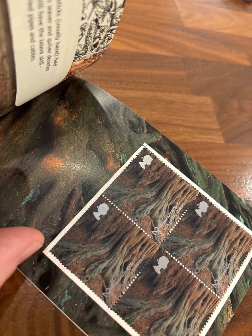 Tous les timbres: Royal Mail Millennium Briefmarken Bäume 2000 – Neuf avec emballage d'origine à Zürich par engebrunau 6