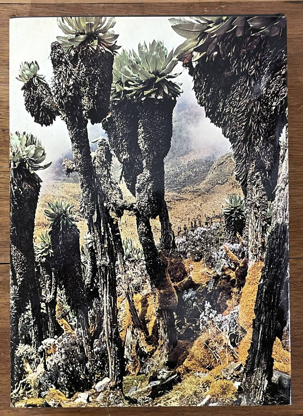Bücher: Silva Verlag, Afrika - Wüste Steppe - Urwald, 1963 – Gebraucht aus Oftringen von Vucki 8