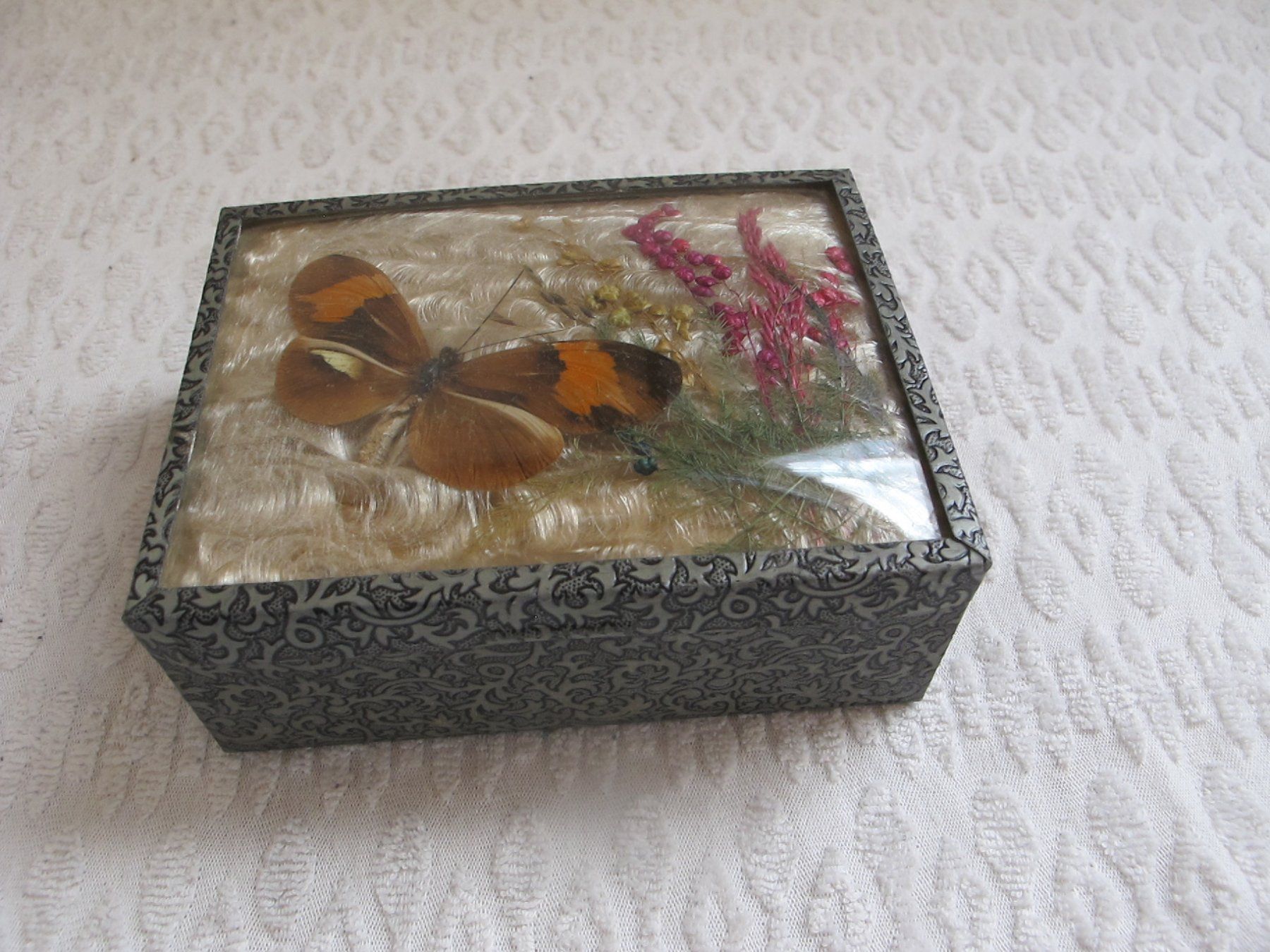 Pots: SCHATULLE MIT ECHTEM SCHMETTERLING VINTAGE – D'occasion à Löhningen par Chimae67 4