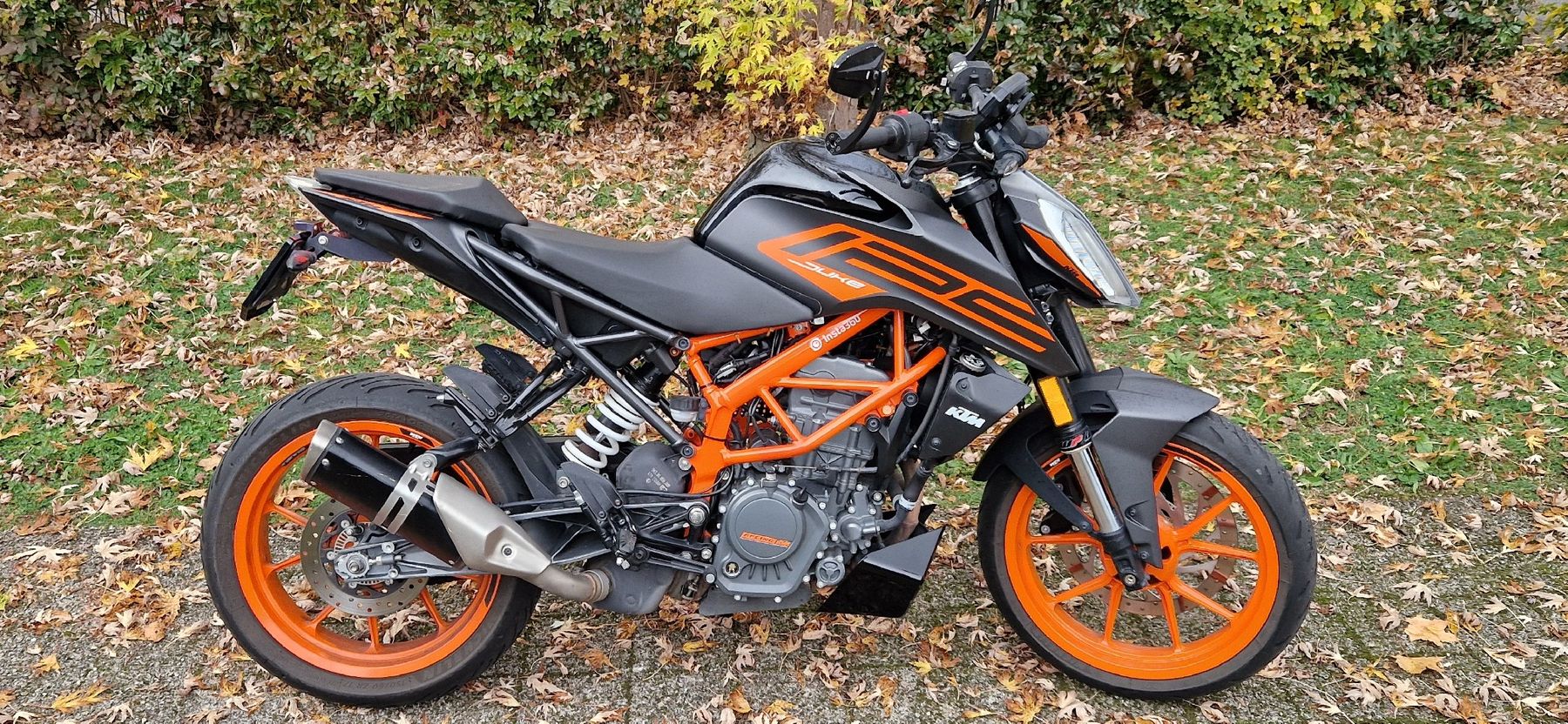 KTM Strasse: KTM Duke 125 – Gebraucht aus Münchenstein von Sommerblume04 3