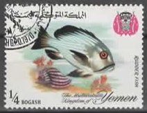 YEMEN : RUDDER FISH   (25
