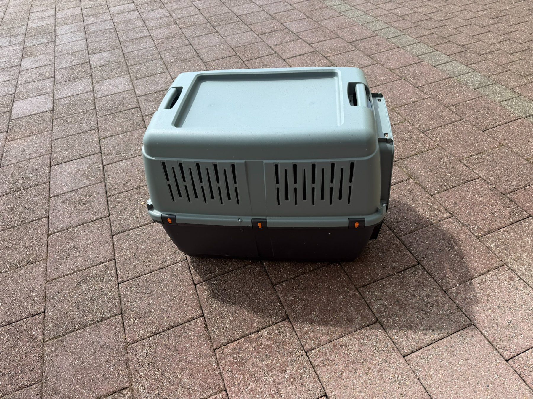 Gabbie, trasporto & Sicurezza: Transportbox – Nuovo (secondo la descrizione) da Oensingen venduto da Skorpion811 1