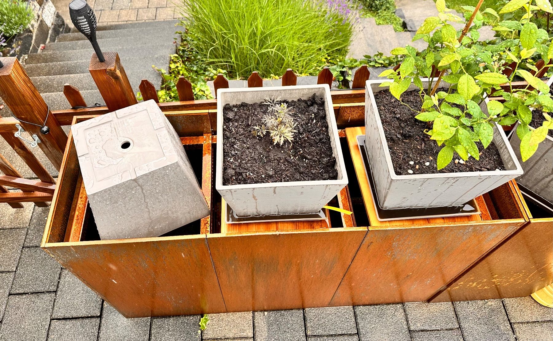 Vasi per fiori: Blumenkübel, rostig – Nuovo (secondo la descrizione) da Wilen (Sarnen) venduto da Gringgo82 9