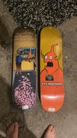 2 Skateboards Toy Machine Black Garden Ed Templeton