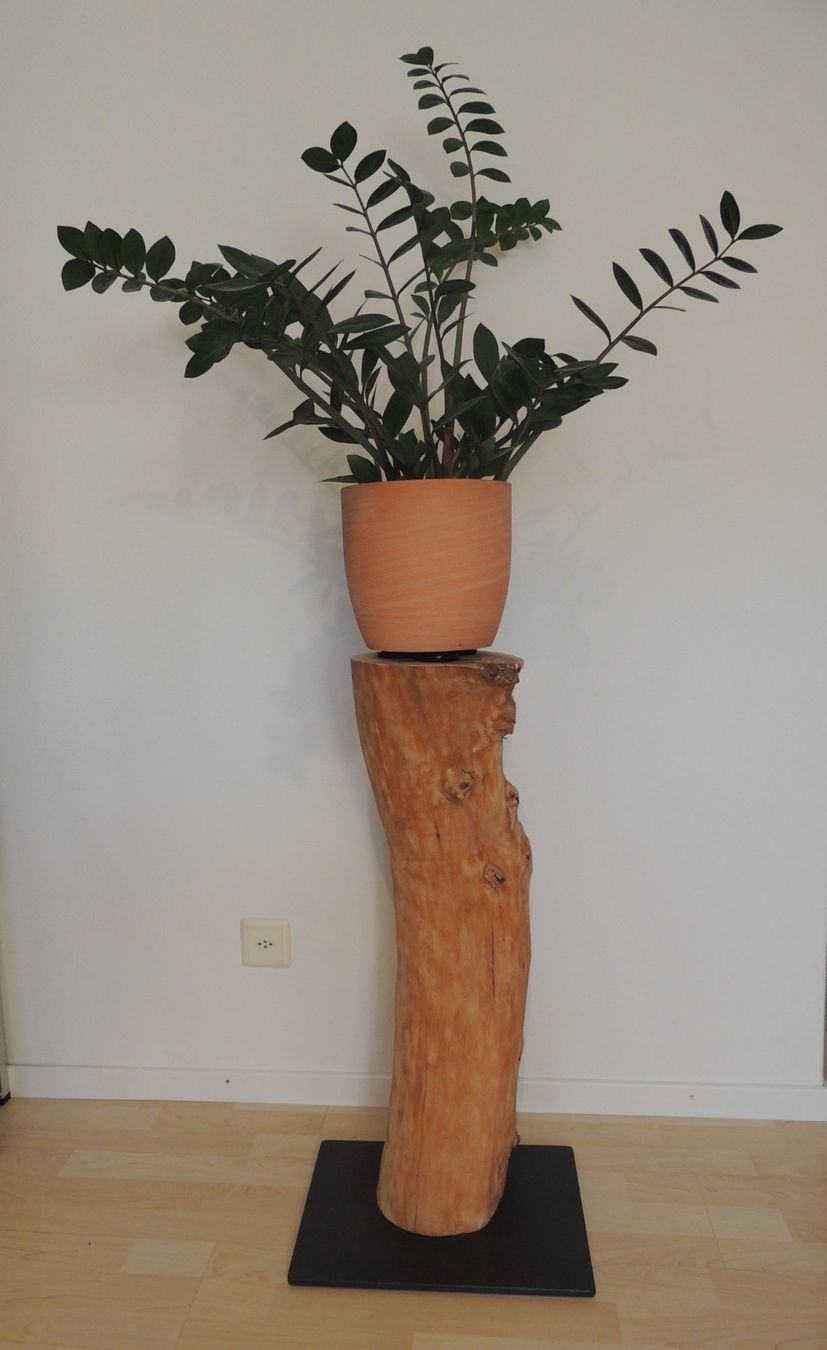 Articoli in legno: Baumstamm / Deko-Säule – Usato da Rickenbach b. Wil venduto da heinz5 1