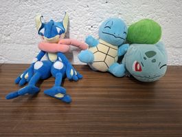 Pokemon Plüschtiere Sammler