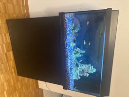 Aquarium mit Unterschrank schwarz gebraucht Zustand