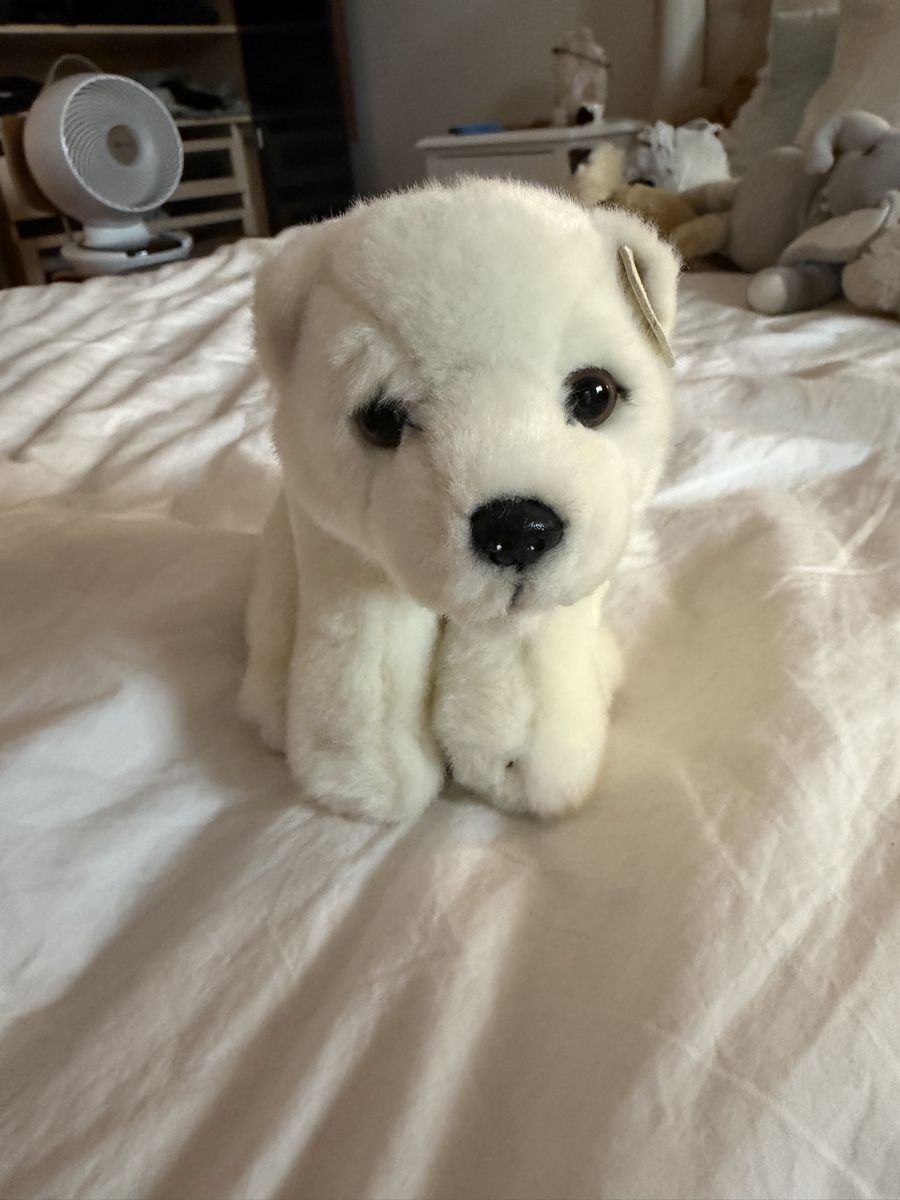 Jouets: WWF Eisbär Plüschtier – Neuf (Voir description) à Zürich par leo_cp7r 1