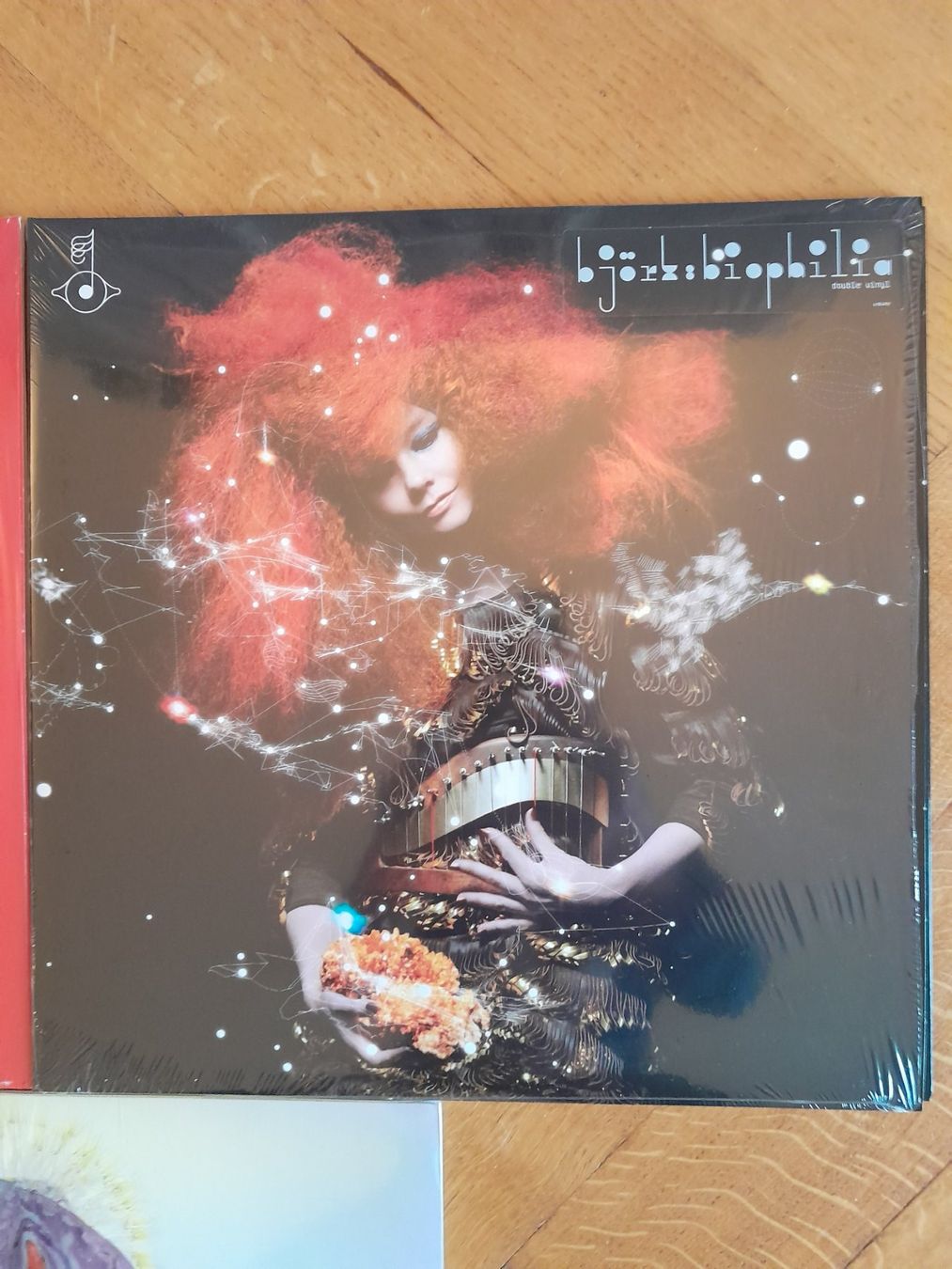 Vinyles: 5x LP Set - Björk – D'occasion à Lausanne par jyle1018 3
