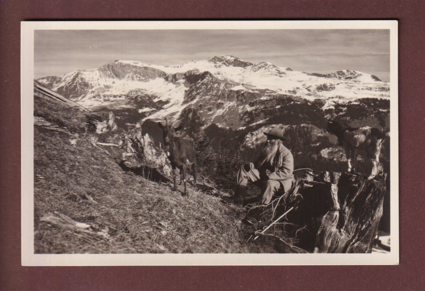 Cartoline postali: Auf der ALP CONTERS-SCHWENDI – Usato da Pully venduto da nicecards